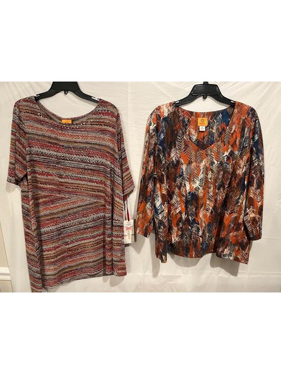 Ruby Rd. Tops - Lot of 2 Ruby Rd. Size 1X Women's Blouse  Feather & Stripe Print Top NWT Size 1X